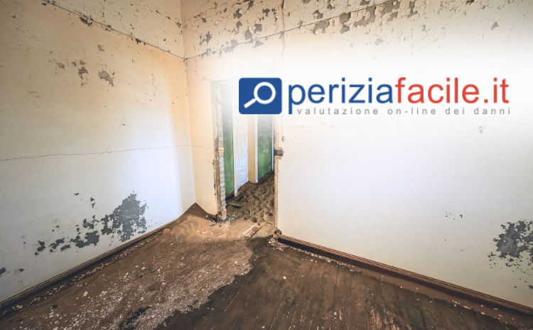  Muffa in casa: a chi spetta il risarcimento danni?