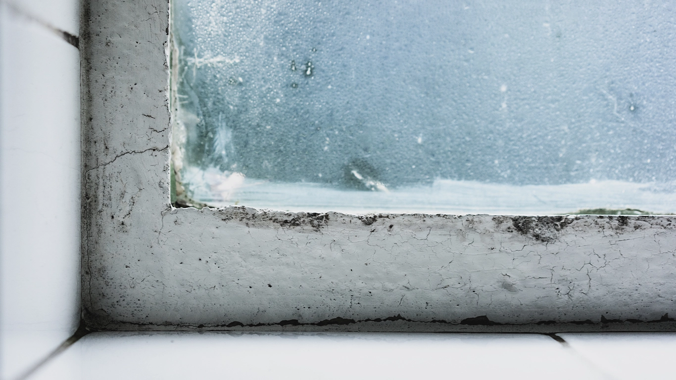 Infiltrazioni d’acqua in casa: come documentare correttamente il danno