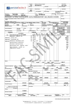 Perizia Auto Fac-Simile