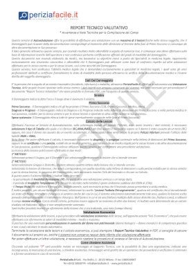 Report Tecnico Valutativo con Note Fac-Simile - Pag. 2